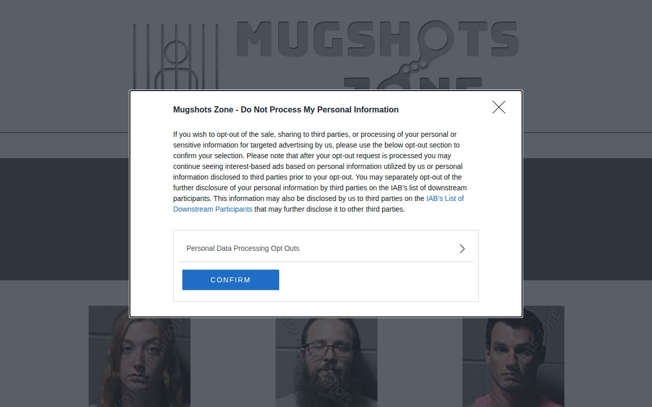 Unofficial Clinton County Mugshots Zone dated archive interface